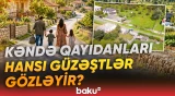 Kənd sakinləri üçün sosial-iqtisadi güzəştlər təklif olunur