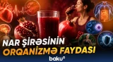 Mütəxəssislərdən istifadə qaydası barədə tövsiyələr