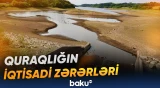 Böyük Britaniyada kənd təsərrüfatı məhsulları bahalaşdı