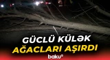 Yevlaxda güclü külək fəsadlara səbəb oldu