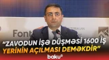 Şəmkirdə İsti Briketlənmiş Dəmir zavodunun tikintisi nəzərdə tutulur