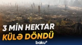 Belçikadakı meşə yanğını Almaniyaya doğru irəliləyir