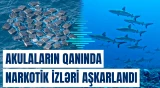 Baham adalarında aparılan araşdırma ciddi narahatlıq doğurub