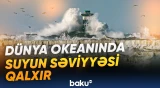Alimlərdən qlobal xəbərdarlıq