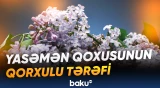 Yasəmən üçün ürəyi gedənləri üzəcək xəbər