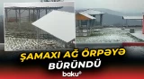 Şamaxı ağ örpəyə büründü