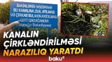 Sakinlər sahibsiz küçə itlərindən də şikayət edir