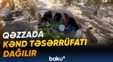 Müharibə bölgənin zeytun bağlarını və dolanışıq mənbələrini məhv edir