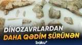 237 milyon il əvvəl yaşamış nəhəngin qalıqları tapılıb
