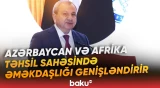"Yüksələn qitə, yeni tərəfdaşlıqlar" adlı konfrans keçirilib
