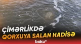 Ekoloq Xəzər dənizində yaşanan qəribə hadisədən danışdı