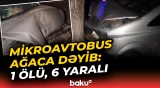 Mikroavtobus ağaca dəyib: 1 ölü, 6 yaralı