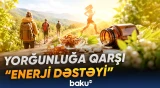 Kəhrəba turşusu faydalıdır, yoxsa...