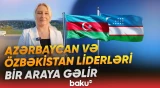 Zirvə Görüşündə hansı məsələlər müzakirə olunacaq? - Baku TV