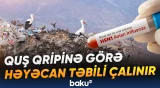Avstraliyada aparılan testlər və genetik analizlər müsbət çıxıb