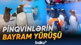 Ziyarətçilərə canlılara toxunmaq imkanı yaradılır