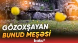 Qəbələdən heyrətamiz təbiət görüntüləri