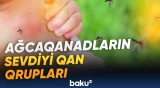 Ağcaqanadların diqqətini daha çox kimlər cəlb edir?