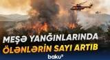 Madridin şimalında 30 min hektara yaxın ərazi alova qərq olub