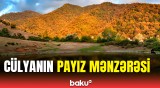 CÜLYANIN PAYIZ MƏNZƏRƏSİ - İsmayıllıda qızıl payı / Əsrarəngiz görüntülər