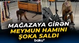 Mağazanı bir-birinə qatan meymunun sonu
