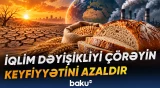 Karbon qazı buğdada zülalı azaldaraq çörəyin keyfiyyətinə və həcminə birbaşa təsir edir