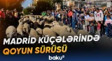 Mənzil etirazı Madriddə əsrlik köç ənənəsinin marşrutunu dəyişib