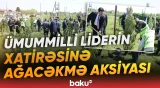 Xaçmazda ekoloji aksiya çərçivəsində 500 şam ağacı əkildi