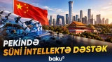 Startaplar dövlət xidmətlərindən operativ yardım alır