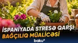 İspaniya paytaxtında bağçılıq stresə qarşı müalicə üsulu kimi tətbiq edilir