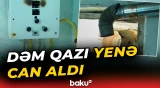 Salyanda 41 yaşlı kişi dəm qazından boğularaq ölüb