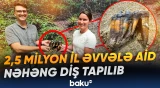 2,5 milyon il əvvələ aid nəhəng diş tapılıb
