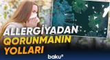 Allergiyanın simptomları və testləri | “İlboyu da davam edə bilər”