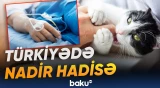 Pişik dişləyən uşaq süni tənəffüs aparatına qoşuldu