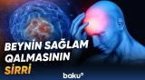 Alimlər ünsiyyətin vacibliyini açıqladı