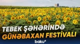 “Belə bir məkanımızın olmasına çox şadam” | Cənubi Koreyada festival