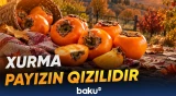 Meyvənin faydaları və istehlakında diqqət edilməli məqamlar