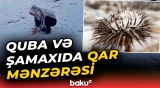 Quba və Şamaxıya qar yağdı | Maraqlı təbiət mənzərəsi