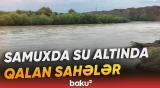 Kür daşdı, örüş sahələri su altında qaldı