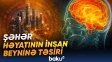 Şəhər həyatının insan beyninə təsiri