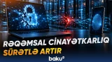 Yeni texnologiyaların cinayətkarlıqda istifadəsi təhlükəli həddə çatır