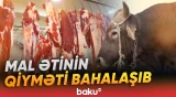 Ölkədə ət qıtlığı gözlənilirmi?