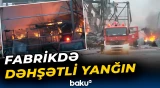Yunanıstandakı yanğında 5 nəfər ölüb, 7 nəfər xəsarət alıb