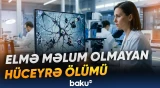 Neyrodegenerativ xəstəliklərə nə səbəb olur?
