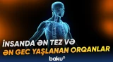 “21 yaşdan etibarən timus vəzi funksiyasını itirməyə başlayır” | Həkim