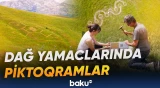 Monteneqroda təşkil olunan festival avqustun 15-dək davam edəcək