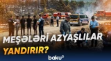 Fransada araşdırmalar zamanı 263 nəfər saxlanılıb