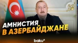 Президент выдвинул инициативу об объявлении амнистии по случаю «Года Конституции и Суверенитета»