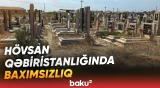 Hövsanda qəbirləri ot basıb, bulaqdan su gəlmir