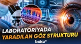 Mini tor qişasının yaradılması göz tədqiqatları üçün nə vəd edir?
